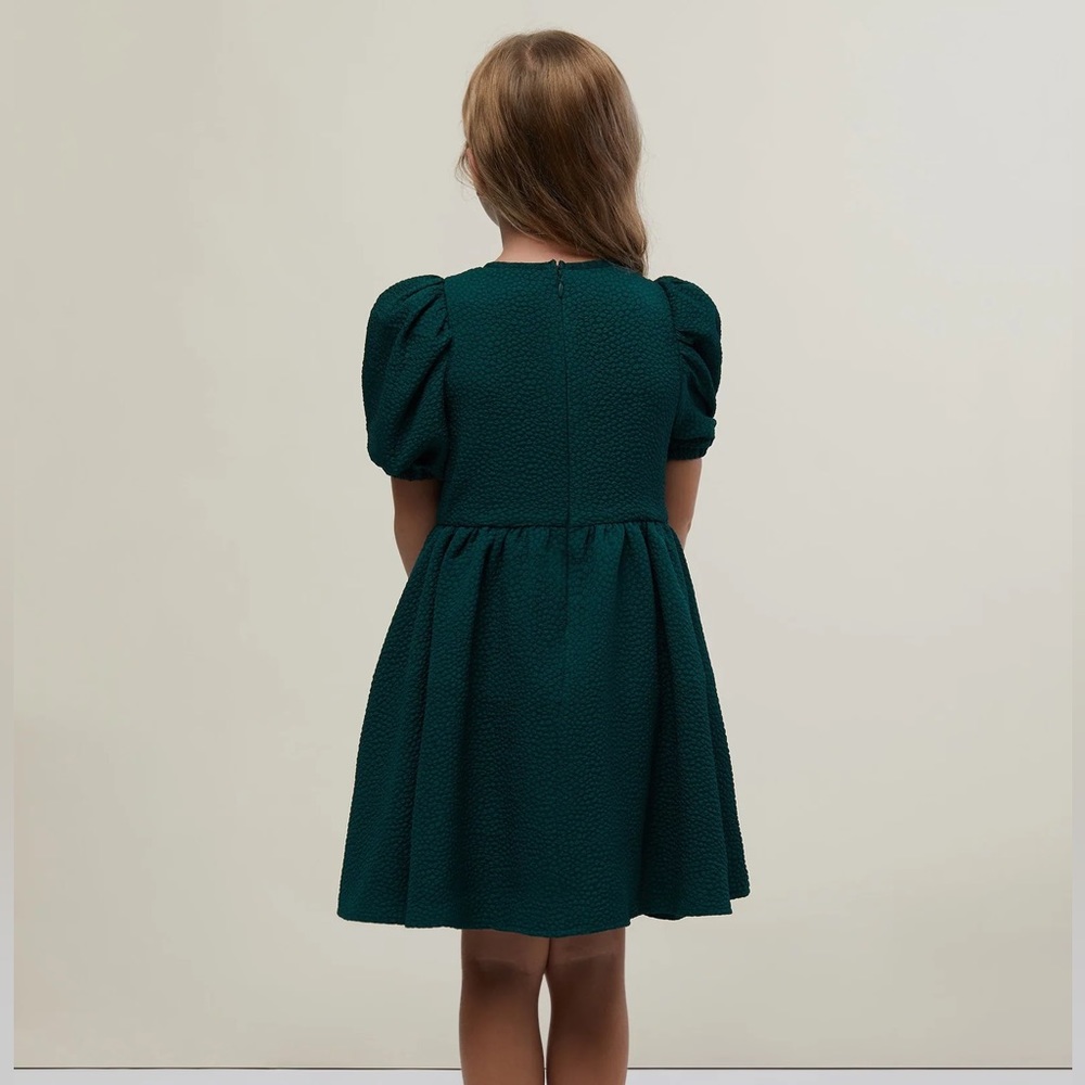 NWT Rachel Parcell Jaquard girls Puff Sleeve Dress in Dark Emerald Green - Picture 4 of 5
